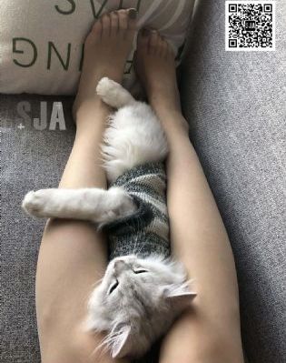 公用的小yin娃_高清在线观看电视