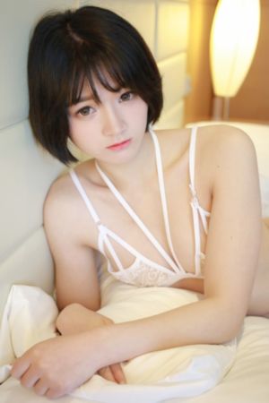 美景之屋3在线_4K高清电影在线