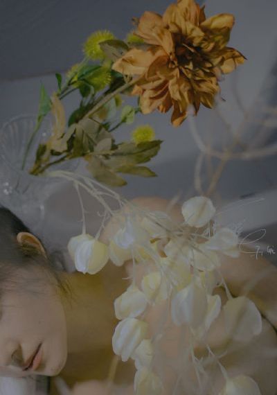 小仙女3_BD英语日韩电影在线