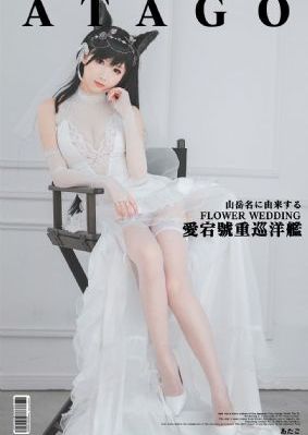 柳树屯_DVD免费观看超清
